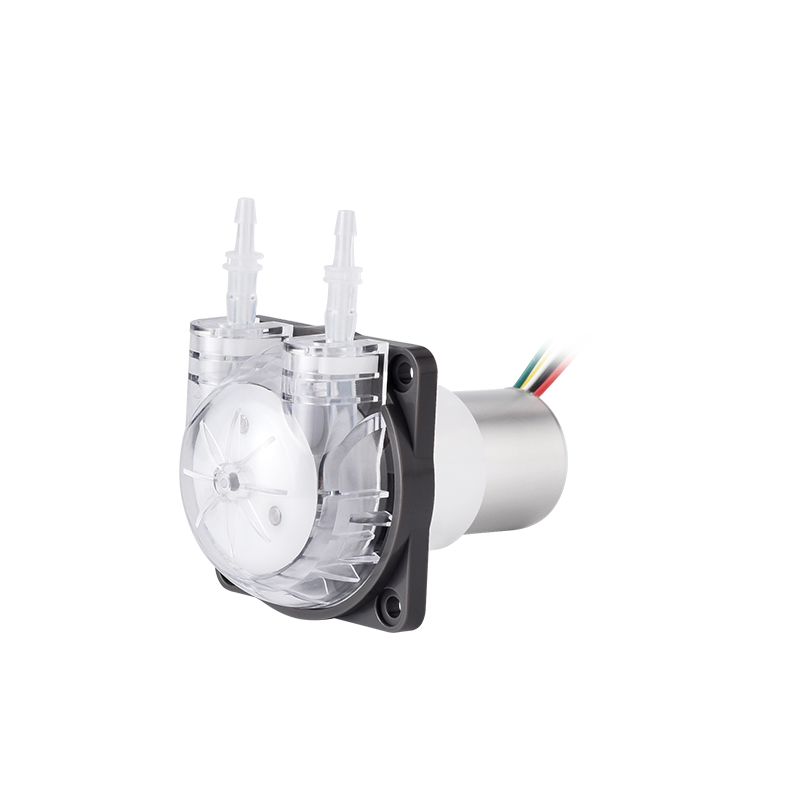 PENGPU Micro Peristaltic Pump  - Mini Peristaltic Pump 12V ulasan dan harga