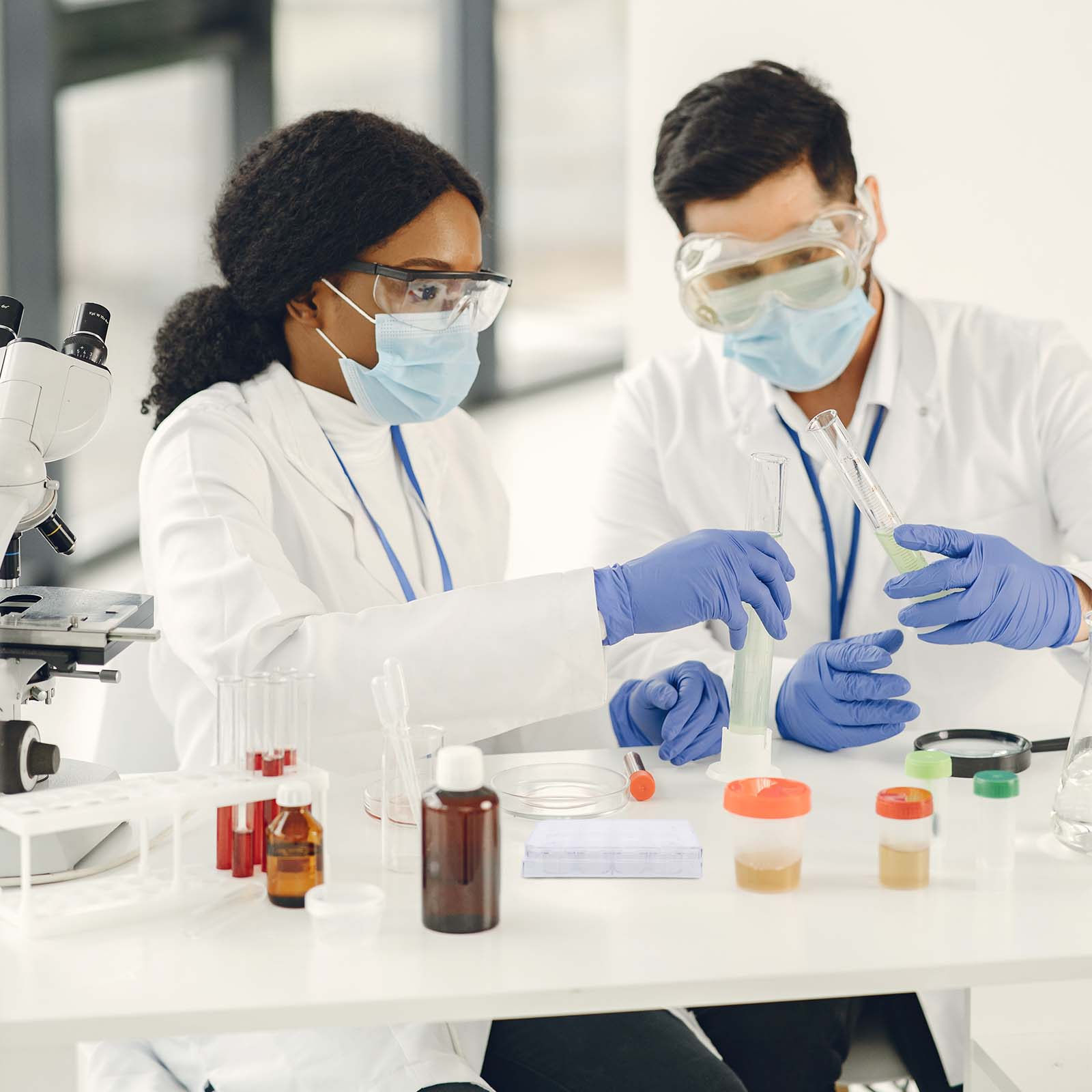 12-Hole Cell Culture Plate Tis - Lab Equipment ulasan dan harga