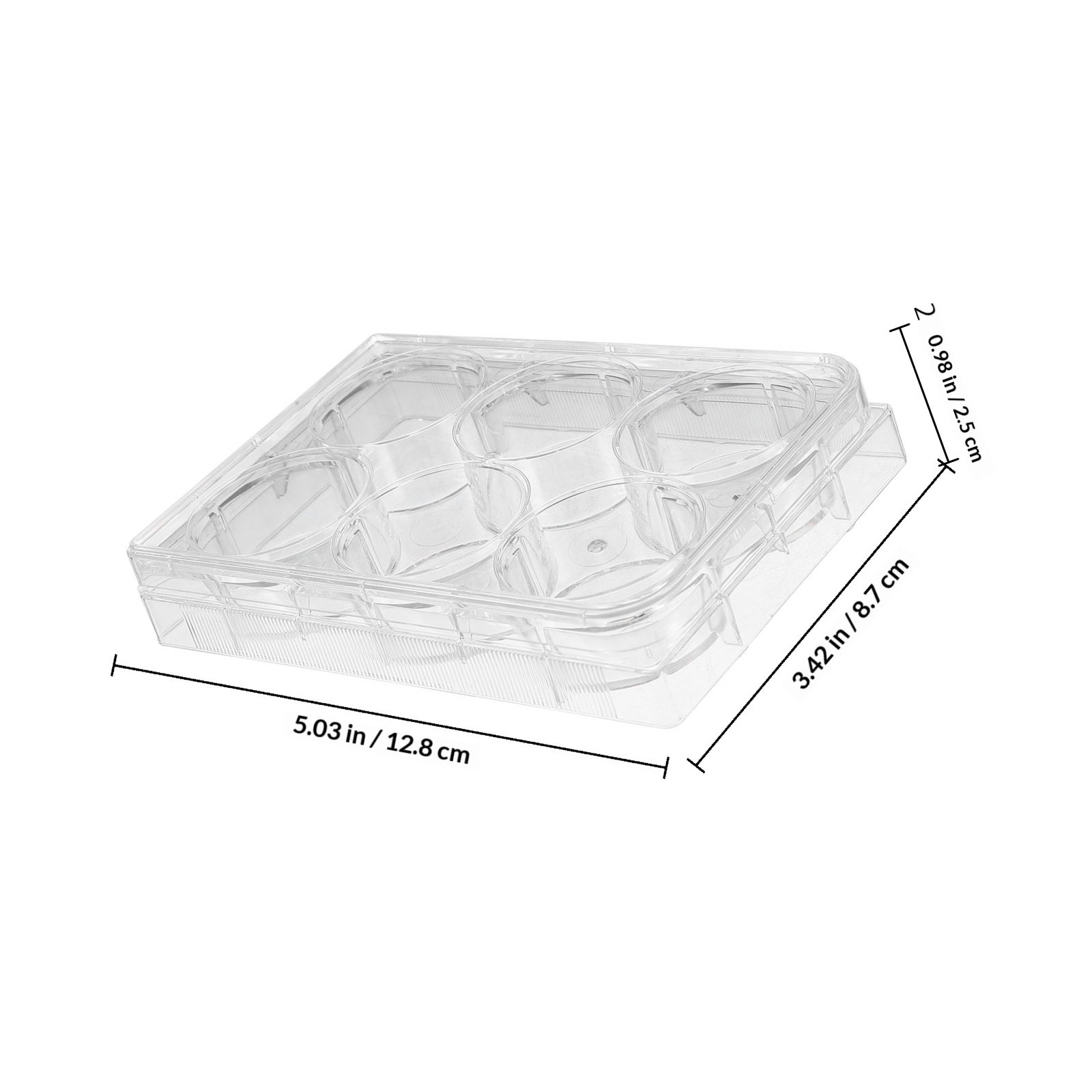 Tissue Culture Plate 6 Wells S - Lab Equipment ulasan dan harga